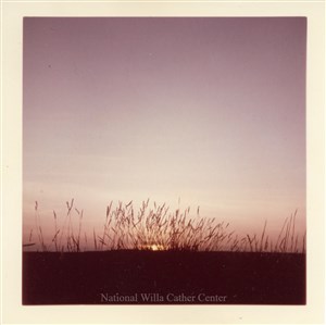 Image description is not available for PHO-4-W689-244